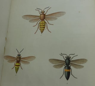 THE COMPLETE WRITINGS OF THOMAS SAY ON THE ENTOMOLOGY OF NORTH AMERICA (54 Color Plates)