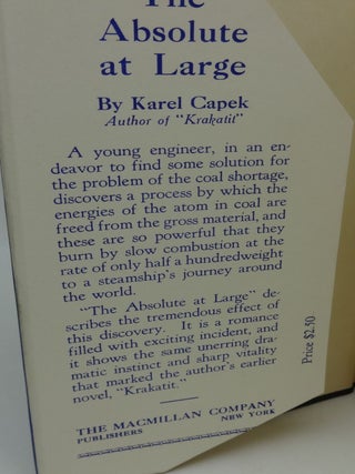 THE ABSOLUTE AT LARGE