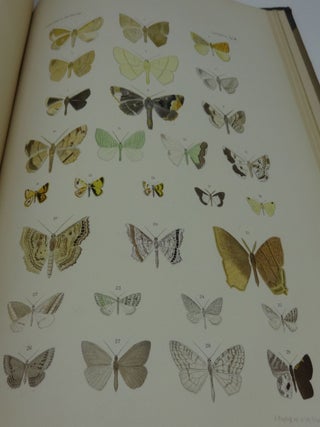 LEPIDOPTEREN: Gesammelt Aut Einer Reise Durch Colombia, Ecuador, Peru, Brasilien, Argentinien Und Bolivien in Den Jahren 1868-1877