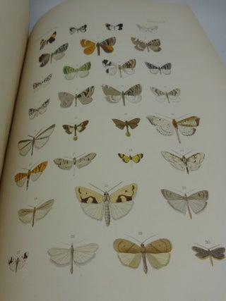 LEPIDOPTEREN: Gesammelt Aut Einer Reise Durch Colombia, Ecuador, Peru, Brasilien, Argentinien Und Bolivien in Den Jahren 1868-1877