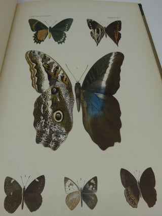 LEPIDOPTEREN: Gesammelt Aut Einer Reise Durch Colombia, Ecuador, Peru, Brasilien, Argentinien Und Bolivien in Den Jahren 1868-1877