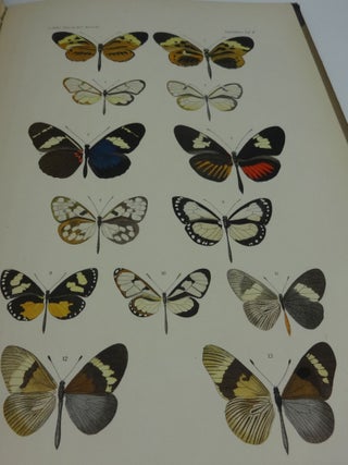 LEPIDOPTEREN: Gesammelt Aut Einer Reise Durch Colombia, Ecuador, Peru, Brasilien, Argentinien Und Bolivien in Den Jahren 1868-1877