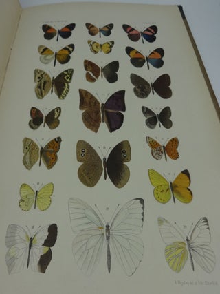 LEPIDOPTEREN: Gesammelt Aut Einer Reise Durch Colombia, Ecuador, Peru, Brasilien, Argentinien Und Bolivien in Den Jahren 1868-1877