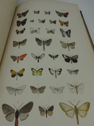 LEPIDOPTEREN: Gesammelt Aut Einer Reise Durch Colombia, Ecuador, Peru, Brasilien, Argentinien Und Bolivien in Den Jahren 1868-1877
