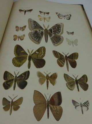 LEPIDOPTEREN: Gesammelt Aut Einer Reise Durch Colombia, Ecuador, Peru, Brasilien, Argentinien Und Bolivien in Den Jahren 1868-1877