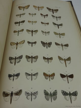 LEPIDOPTEREN: Gesammelt Aut Einer Reise Durch Colombia, Ecuador, Peru, Brasilien, Argentinien Und Bolivien in Den Jahren 1868-1877
