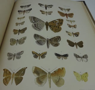 LEPIDOPTEREN: Gesammelt Aut Einer Reise Durch Colombia, Ecuador, Peru, Brasilien, Argentinien Und Bolivien in Den Jahren 1868-1877