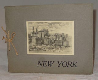 Item #002018C NEW YORK (25 Albertype Photo Images