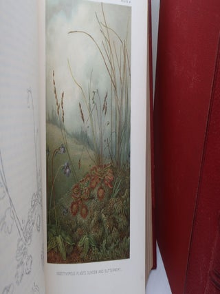 THE NATURAL HISTORY OF PLANTS: Their Forms, Growth, Reproduction, and distribution from the German of Anton Kerner von Marilaun